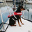 COMFY PET BUOYANCY AID LALIZAS