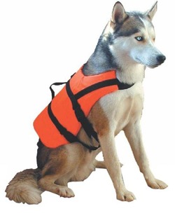 Pet retriever buoyancy aid & harness LALIZAS