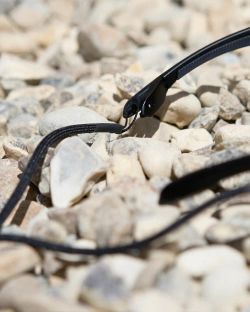 Okulary sportowe Rooster Polarised Sport Sunglasses